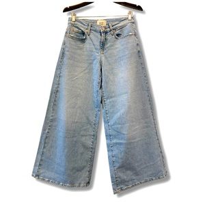 Urban Outfitters Blue BDG Joey A-Line Wide-Leg Jean